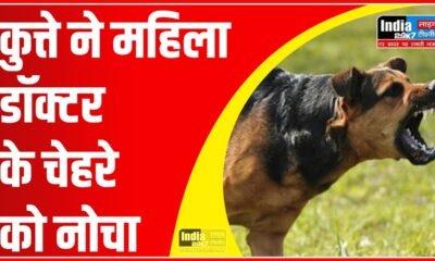 Noida News: पालतू कुत्तों का आतंक! कुत्ते ने महिला डॉक्टर के चेहरे को नोचा