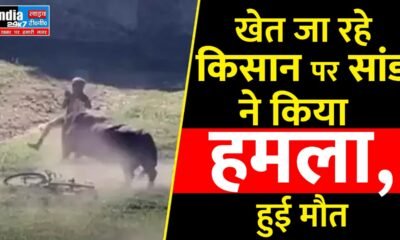 UP News: खेत में हमले से किसान की मौत, ग्रामीणों ने सांड को भगाया