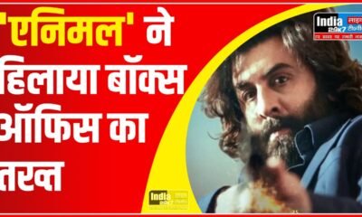 Animal Box Office Collection Day 6: 'एनिमल' ने हिलाया बॉक्स ऑफिस का तख्त, छह दिन में 300 करोड़ के पार कलेक्शन