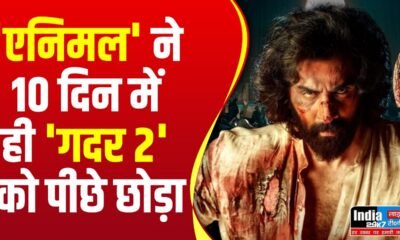 ANIMAL: 'एनिमल' ने 10 दिन में ही 'गदर 2' को छोड़ा पीछे, रणबीर की फिल्म पहुंची 700 करोड़ पार