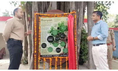 Barabanki News : विश्व पर्यावरण दिवस पर नई पहल, 30 साल पुराने वृक्षों पर लगेगा QR कोड