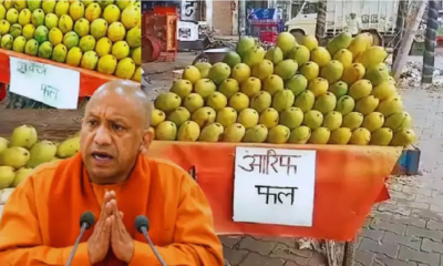 Lucknow News: सोहन फल वाले, रहीम का आम… कांवड़ मार्ग पर नाम की तख्ती टांगना अनिवार्य, अब सीएम का आदेश