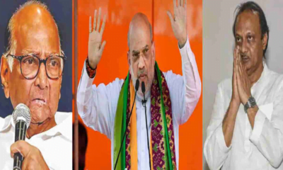 Maharashtra Assembly Election:शरद पवार के खिलाफ शाह की टिप्पणियों से महाराष्ट्र में उबाल, अजित पवार की चुप्पी मगर साथी नेताओं ने जताई नाराजगी