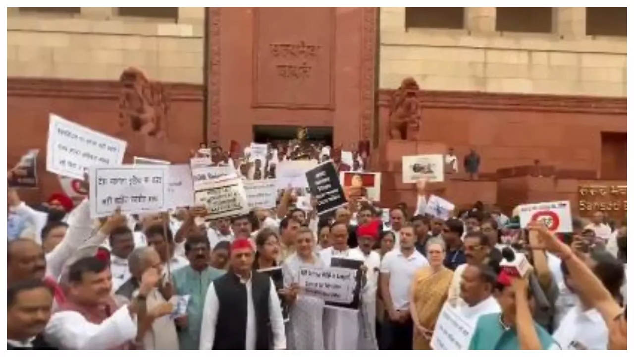 Parliament Session: विपक्षी दलों को रास नहीं आया बजट 2024, सरकार के खिलाफ खोला मोर्चा, संसद में विरोध प्रदर्शन